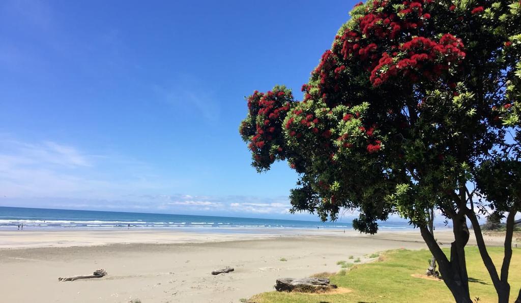 Whakatane Hotel Екстер'єр фото