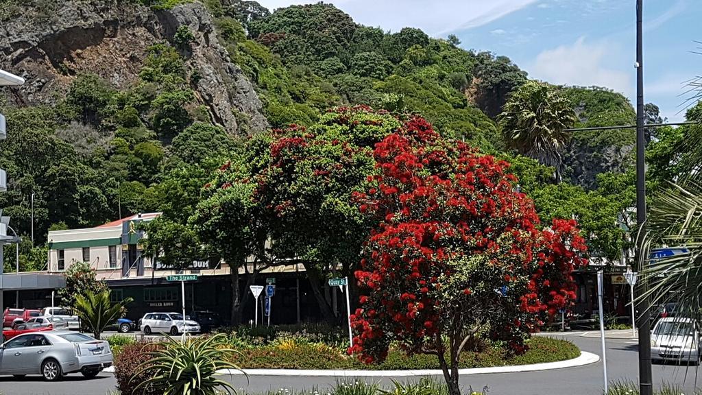 Whakatane Hotel Екстер'єр фото